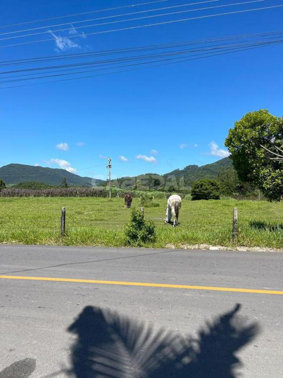quinta imagem imóvel
