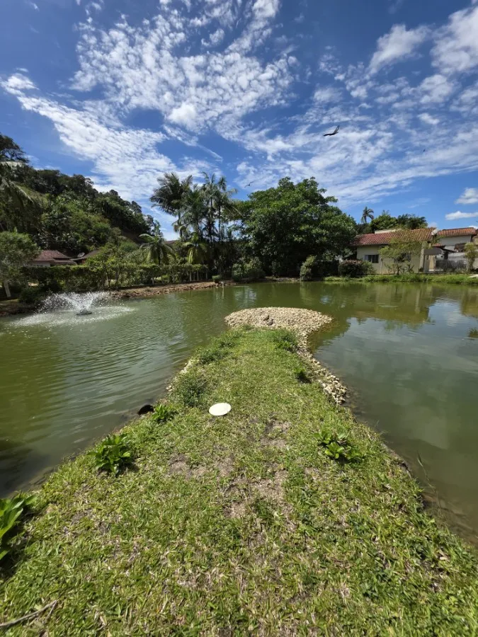 Sítio em Brusque: Seu Paraíso Rural ou Investimento! - Imagem Principal
