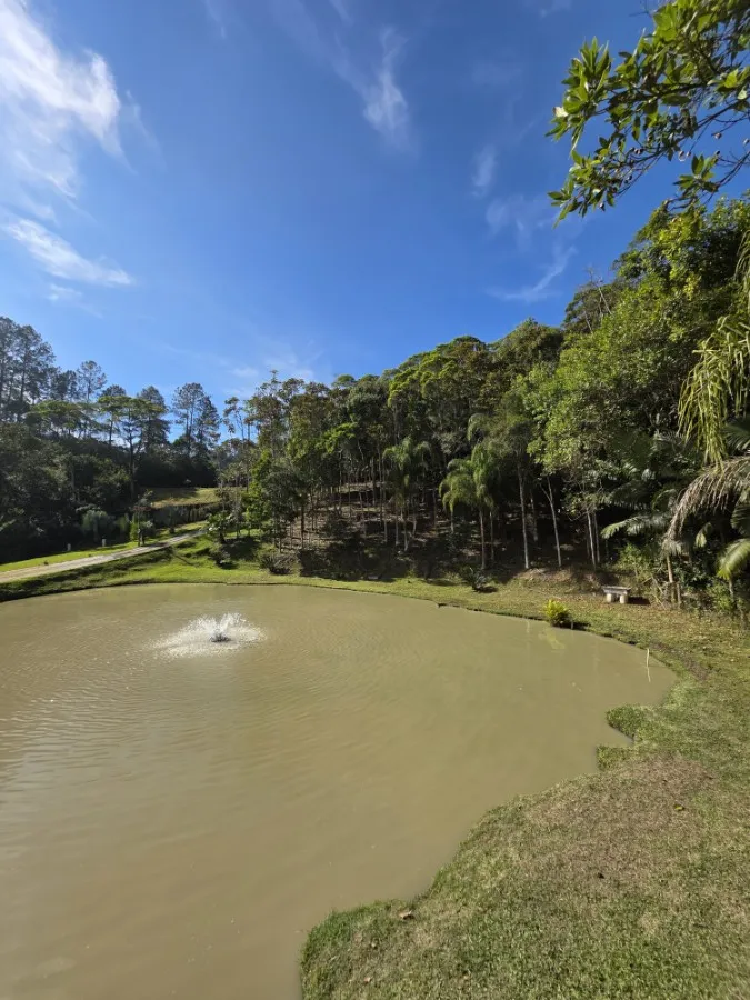 Sítio Exclusivo em Brusque: Natureza, Conforto e Valorização! - Galeria de imagens, foto 6