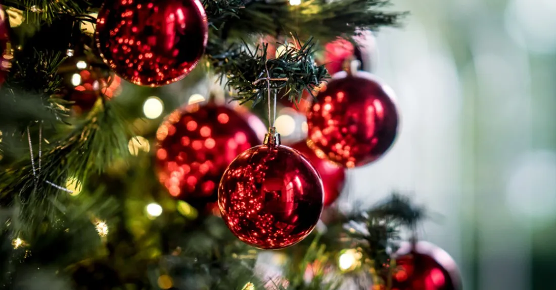 Natal: Lar, Família e o Verdadeiro Sentido da Vida - Imagem Principal