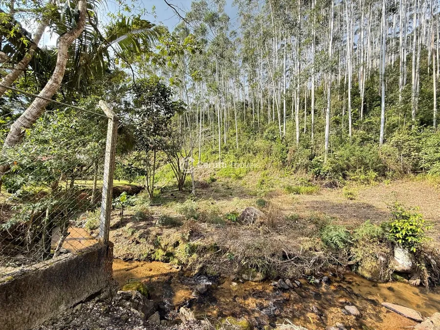 segunda imagem imóvel