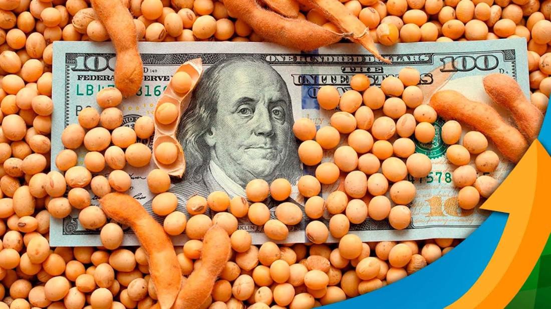 Soja em Alta: O Impacto da Safra Recorde e do Dólar Valorizado no Crescimento Imobiliário no Agro - Bloco adicional 1