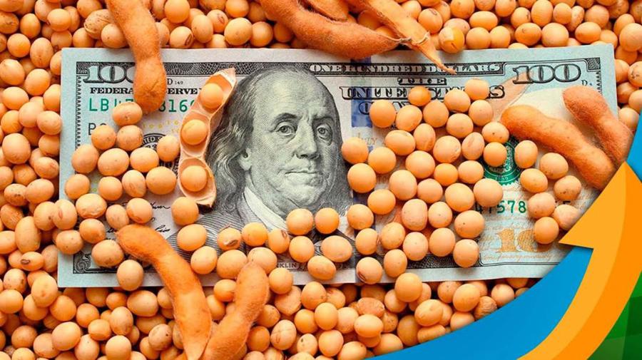 Soja em Alta: O Impacto da Safra Recorde e do Dólar Valorizado no Crescimento Imobiliário no Agro