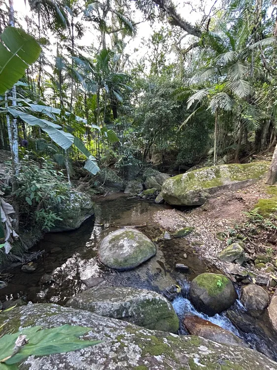 quinta imagem imóvel