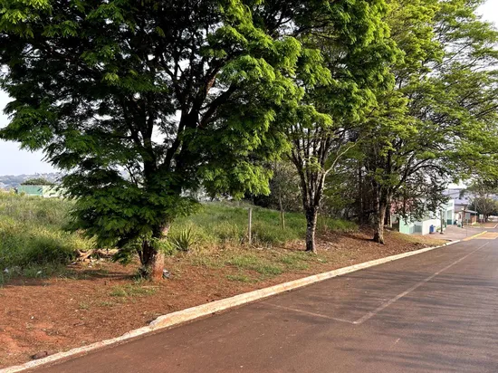 TERRENO NO CENTRO DE IBEMA PR