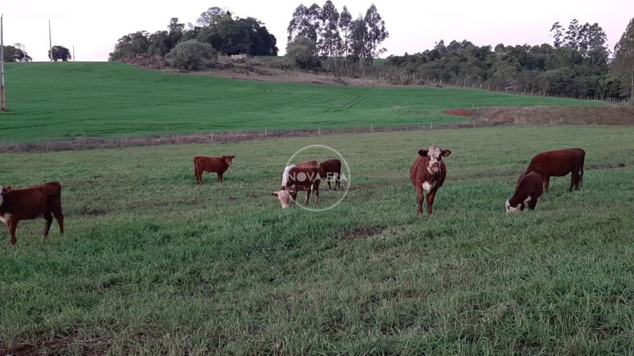 segunda imagem imóvel