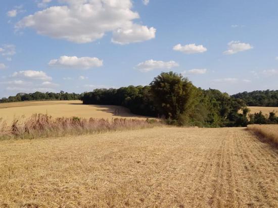 ÁREA RURAL EM ENTRE IJUIS