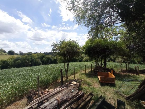 CHÁCARA 8,5 HECTARES - PLANTA E CRIA - ENTRE-IJUÍS