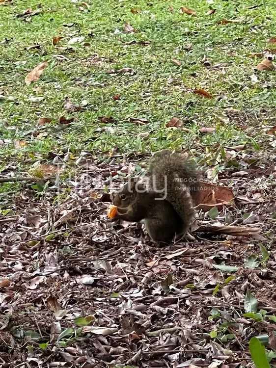 quarta imagem imóvel