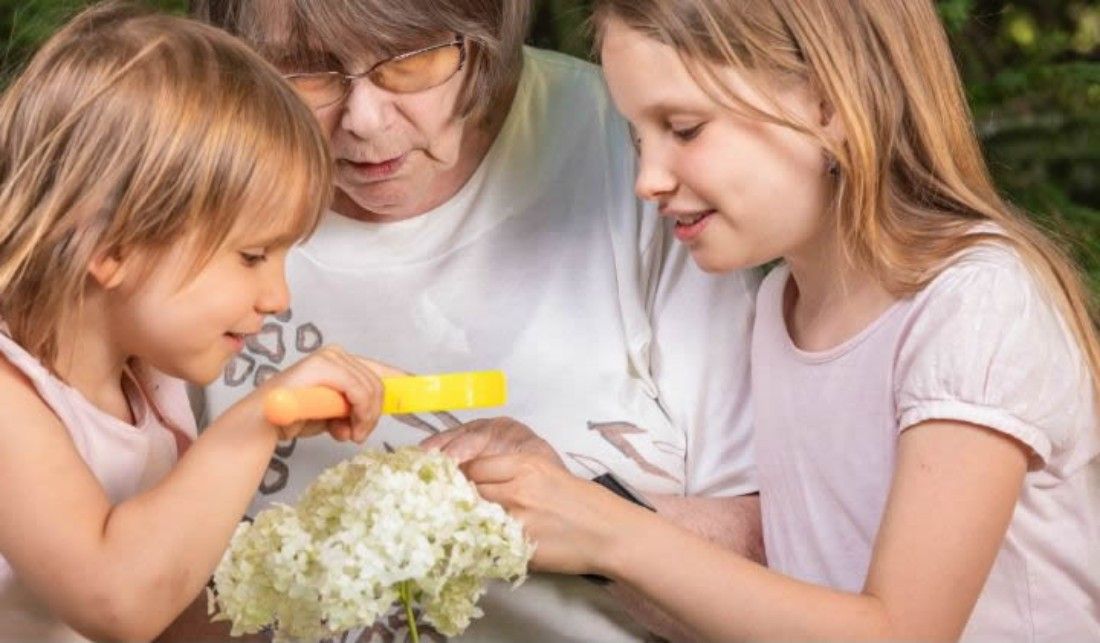 O lugar de memórias para toda a família - Imagem de detalhe