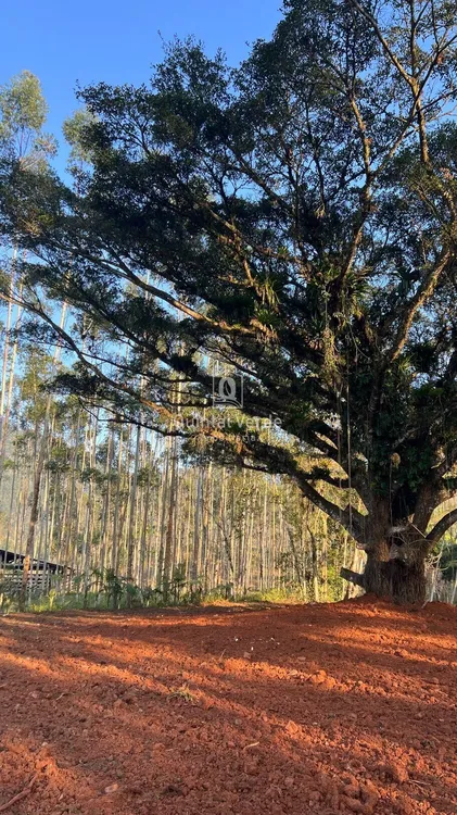 terceira imagem imóvel