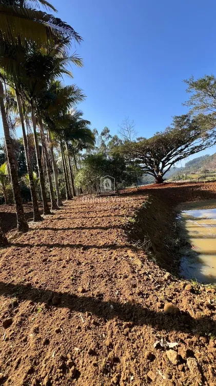 quarta imagem imóvel