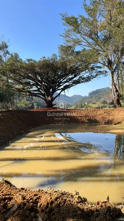 quinta imagem imóvel