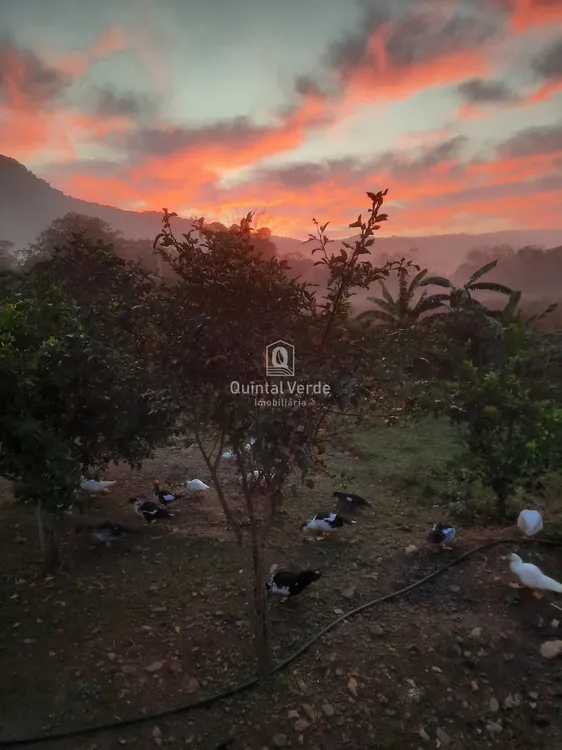 quarta imagem imóvel