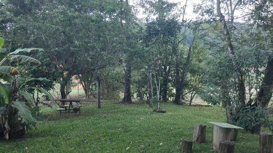 SITIO A VENDA EM CANELINHA