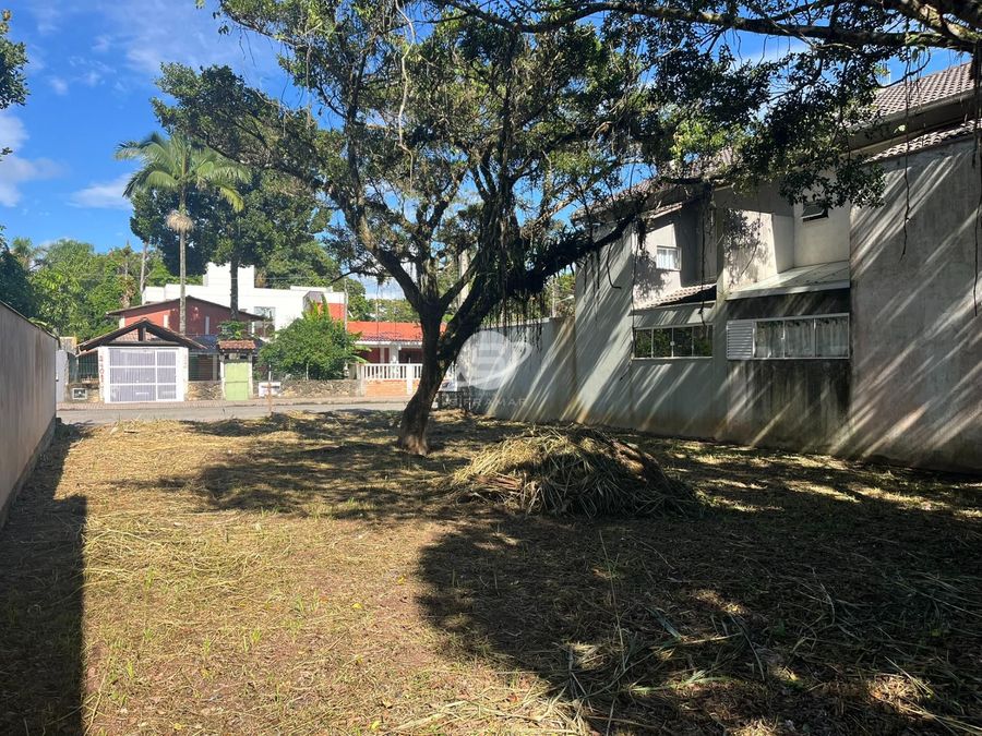 quinta imagem imóvel