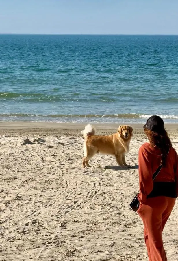 7 experiências imperdíveis em Itapema e Porto Belo para viver com mais qualidade de vida - Imagem Principal