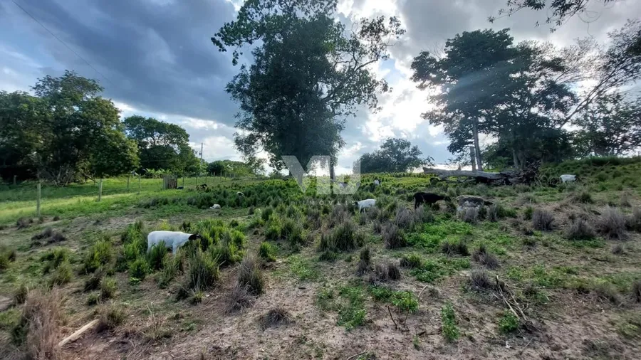 quarta imagem imóvel