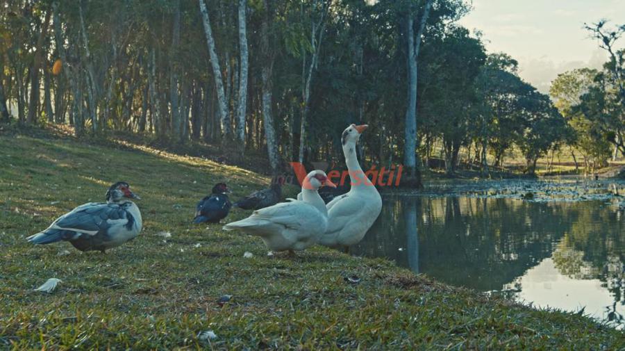 quarta imagem imóvel