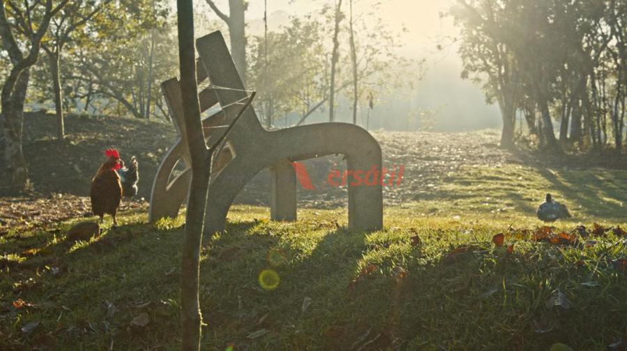 quinta imagem imóvel