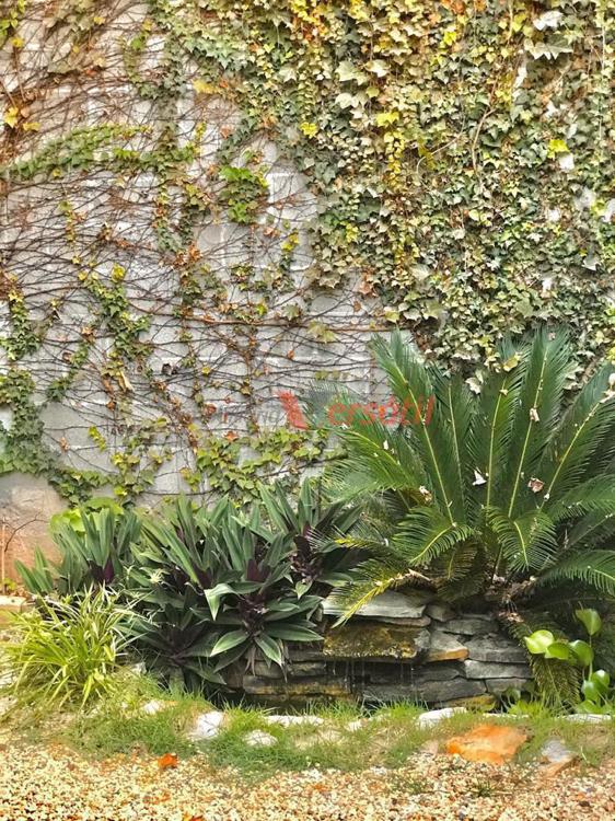 quinta imagem imóvel