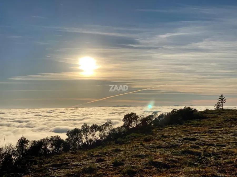 terceira imagem imóvel